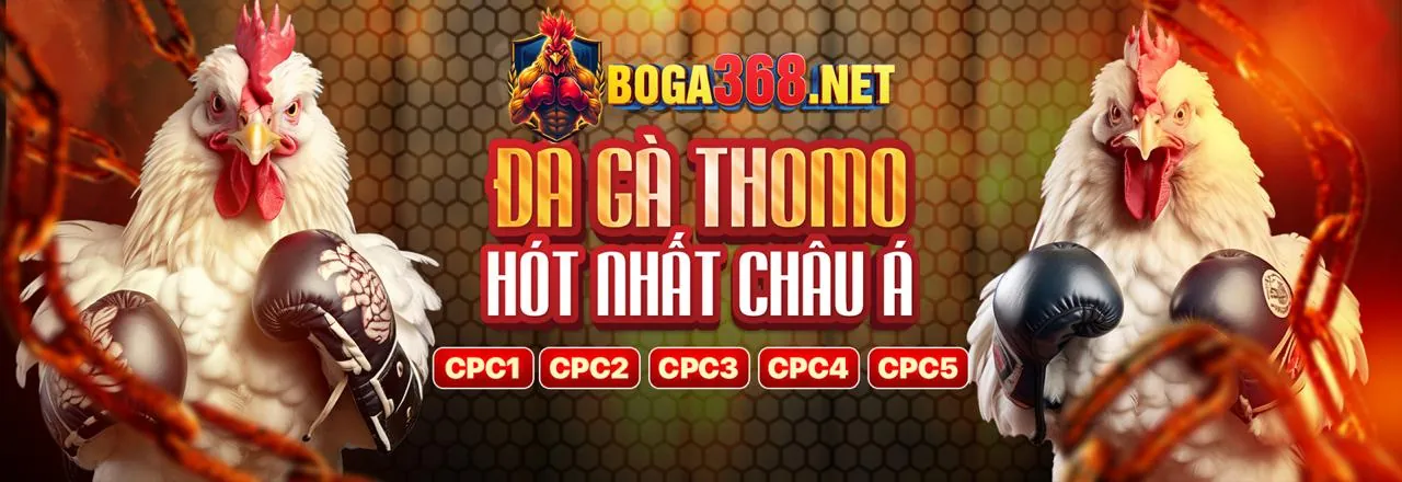 Đá gà trực tuyến với freebet hấp dẫn
